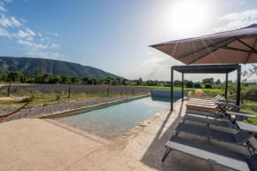 Studio cozy avec terrasse et vue sur le Luberon